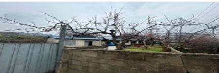 전라남도 무안군 일로읍 망월리 349-1 답 경매 사진 2