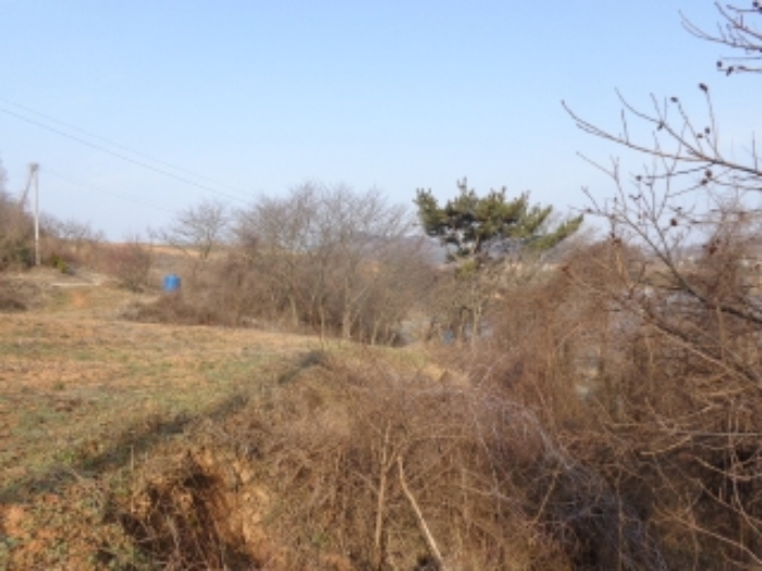 충남 태안군 안면읍 신야리 335-8 외 8필지 교육연구시설 경매 사진 12