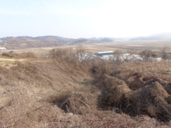 충남 태안군 안면읍 신야리 335-8 외 8필지 교육연구시설 경매 사진 13