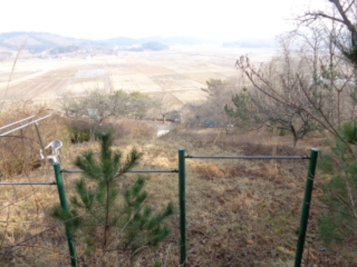 충남 태안군 안면읍 신야리 335-8 외 8필지 교육연구시설 경매 사진 18