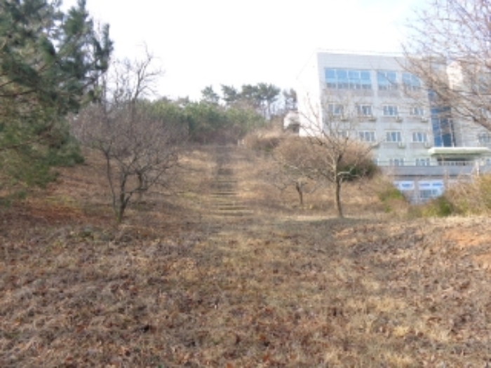 충남 태안군 안면읍 신야리 335-8 외 8필지 교육연구시설 경매 사진 20