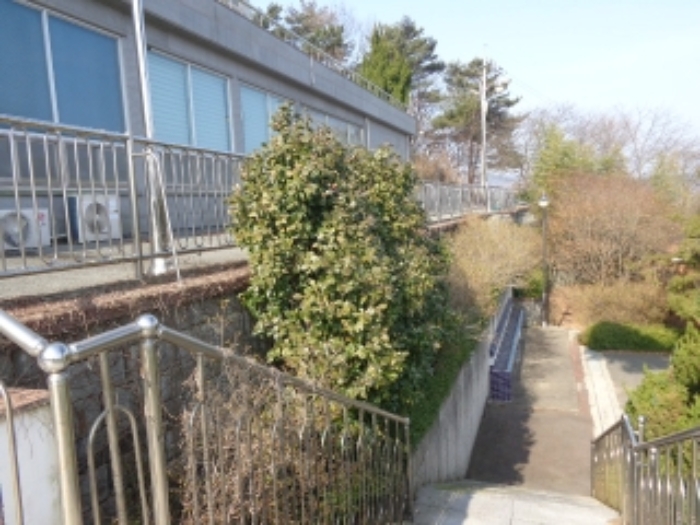 충남 태안군 안면읍 신야리 335-8 외 8필지 교육연구시설 경매 사진 28