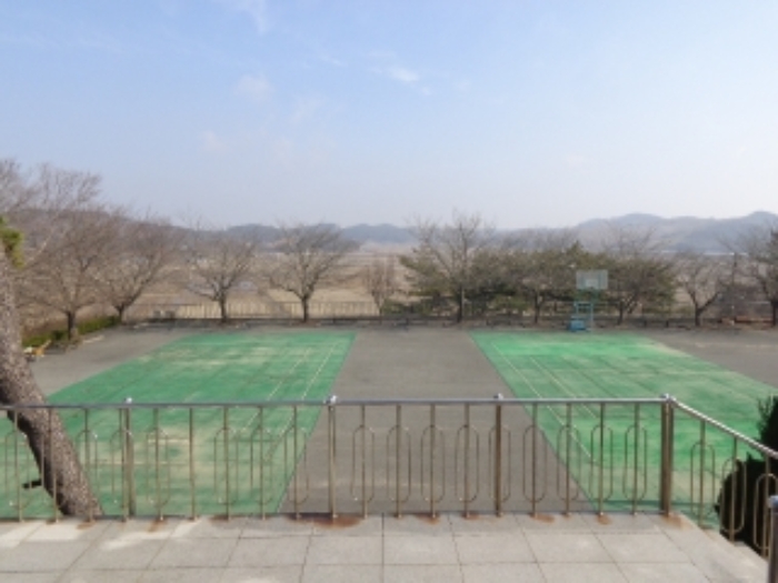 충남 태안군 안면읍 신야리 335-8 외 8필지 교육연구시설 경매 사진 29