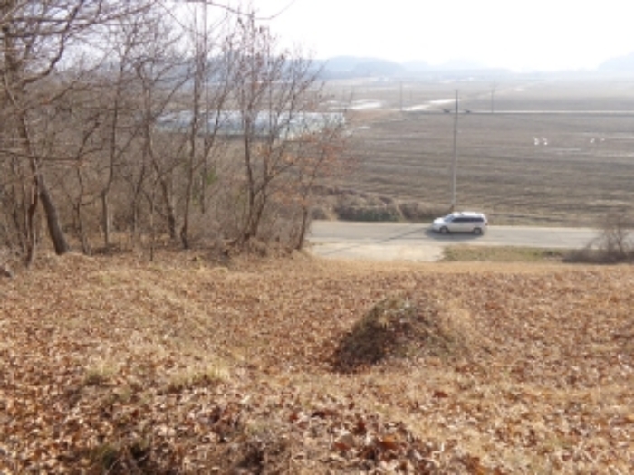 충남 태안군 안면읍 신야리 335-8 외 8필지 교육연구시설 경매 사진 32