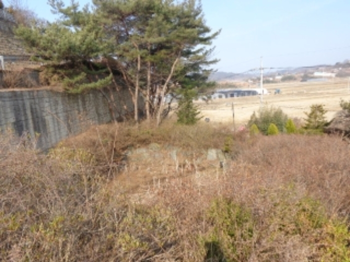 충남 태안군 안면읍 신야리 335-8 외 8필지 교육연구시설 경매 사진 36