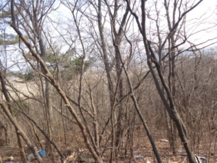 충남 태안군 안면읍 신야리 335-8 외 8필지 교육연구시설 경매 사진 43