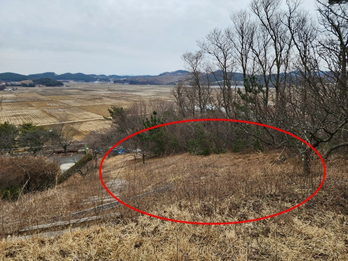 충남 태안군 안면읍 신야리 335-8 외 8필지 교육연구시설 경매 사진 53