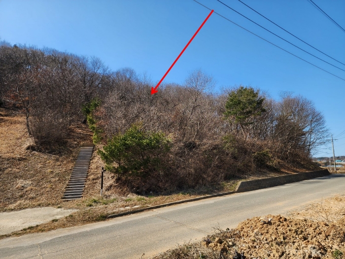 충남 태안군 안면읍 신야리 335-8 외 8필지 교육연구시설 경매 사진 54