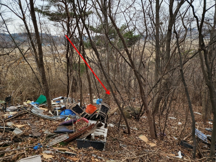 충남 태안군 안면읍 신야리 335-8 외 8필지 교육연구시설 경매 사진 55