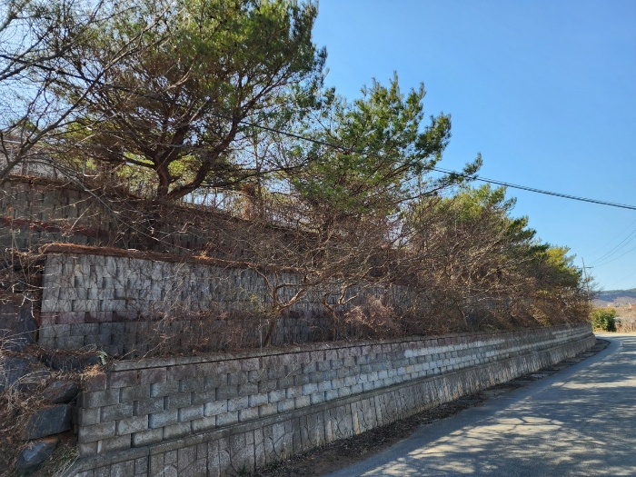 충남 태안군 안면읍 신야리 335-8 외 8필지 교육연구시설 경매 사진 64