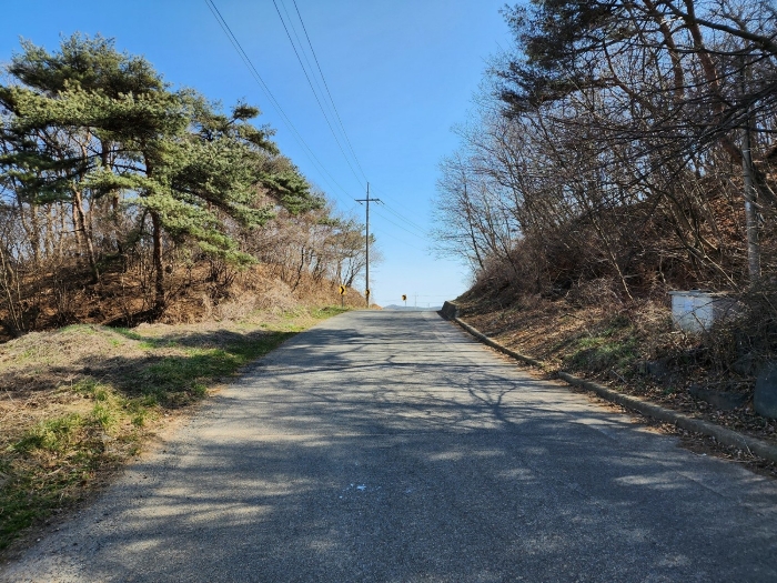 충남 태안군 안면읍 신야리 335-8 외 8필지 교육연구시설 경매 사진 72
