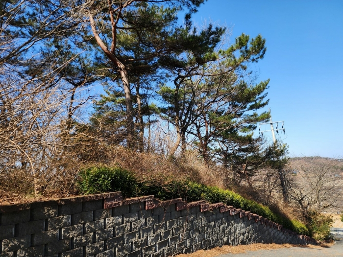 충남 태안군 안면읍 신야리 335-8 외 8필지 교육연구시설 경매 사진 73