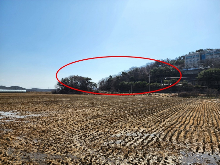 충남 태안군 안면읍 신야리 335-8 외 8필지 교육연구시설 경매 사진 80