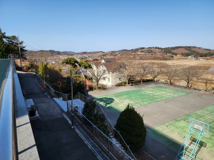 충남 태안군 안면읍 신야리 335-8 외 8필지 교육연구시설 경매 사진 82