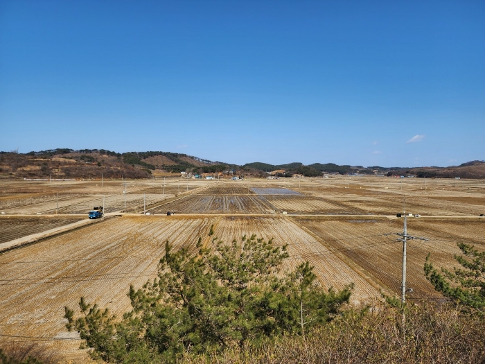 충남 태안군 안면읍 신야리 335-8 외 8필지 교육연구시설 경매 사진 83