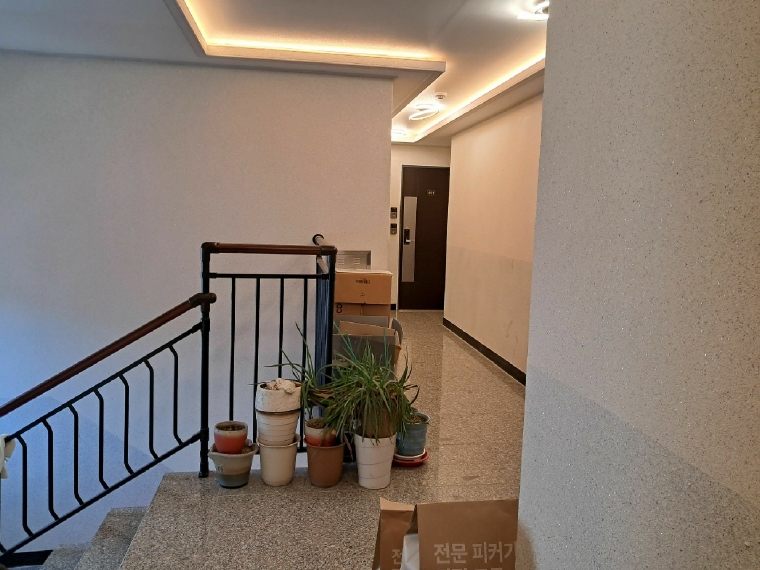 대전광역시 중구 호동 251 외 1필지 상가주택 경매 사진 13
