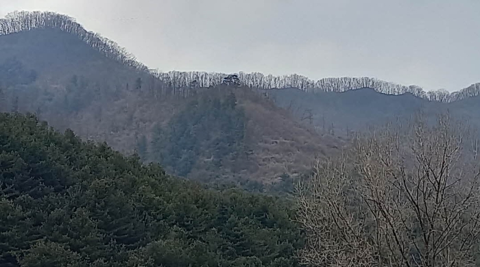 경기도 포천시 관인면 사정리 산451 외 20필지 임야 경매 사진 14
