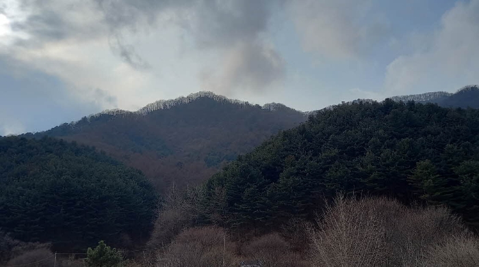 경기도 포천시 관인면 사정리 산451 외 20필지 임야 경매 사진 15