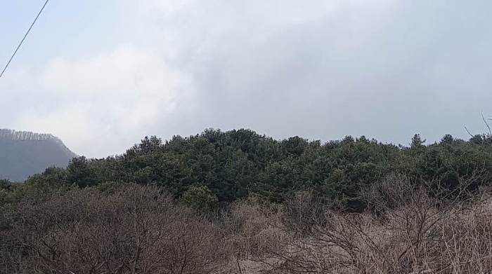경기도 포천시 관인면 사정리 산451 외 20필지 임야 경매 사진 17
