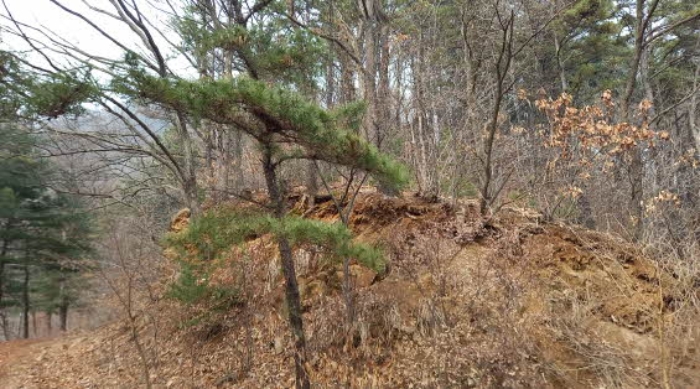 경기도 포천시 관인면 사정리 산451 외 20필지 임야 경매 사진 18
