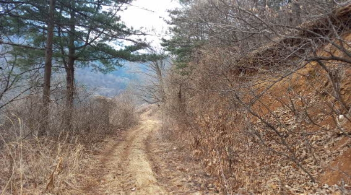 경기도 포천시 관인면 사정리 산451 외 20필지 임야 경매 사진 5