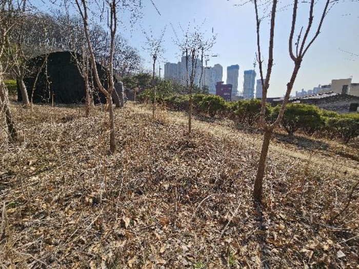 경기도 이천시 관고동 관고동 148 외 4필지 답 경매 사진 3