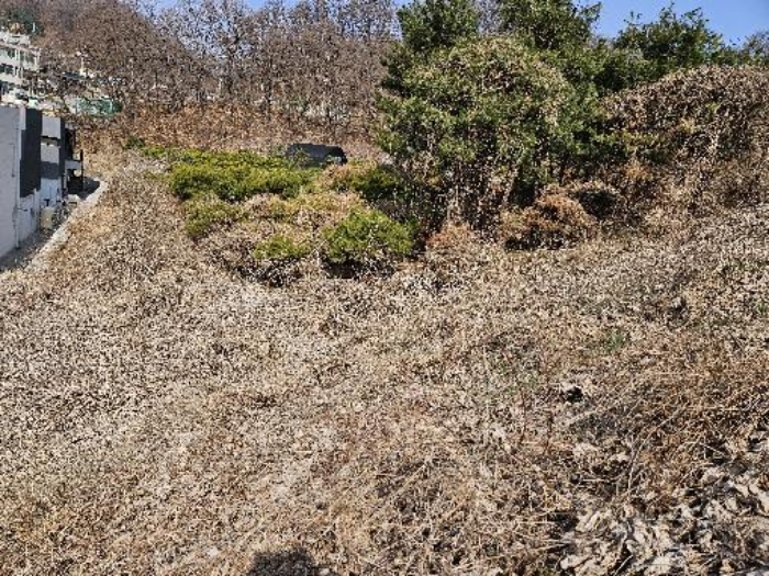 경기도 이천시 관고동 관고동 148 외 4필지 답 경매 사진 10