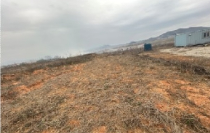 전라남도 무안군 일로읍 복룡리 14-2 외 21필지 임야 경매 사진 12