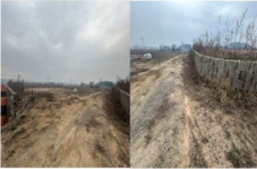 전라남도 무안군 일로읍 복룡리 14-2 외 21필지 임야 경매 사진 18
