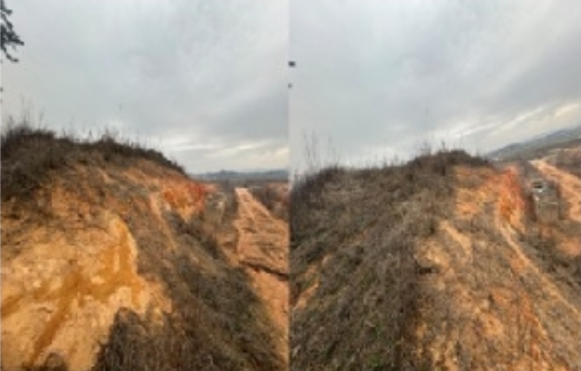 전라남도 무안군 일로읍 복룡리 14-2 외 21필지 임야 경매 사진 19