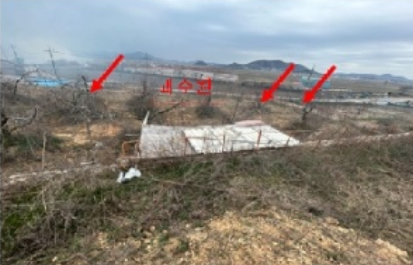 전라남도 무안군 일로읍 복룡리 14-2 외 21필지 임야 경매 사진 25