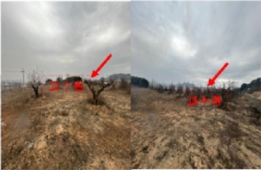 전라남도 무안군 일로읍 복룡리 14-2 외 21필지 임야 경매 사진 26