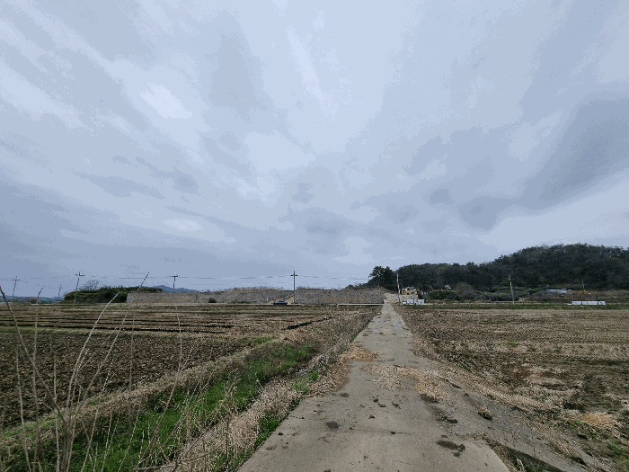 전라남도 무안군 일로읍 복룡리 14-2 외 21필지 임야 경매 사진 27