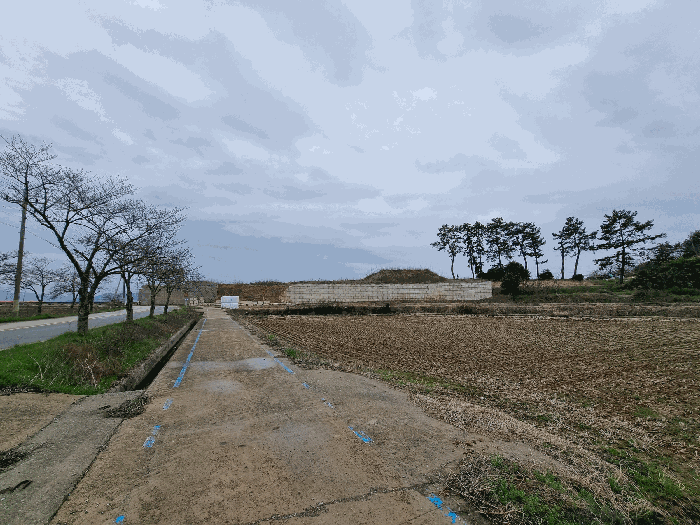 전라남도 무안군 일로읍 복룡리 14-2 외 21필지 임야 경매 사진 35