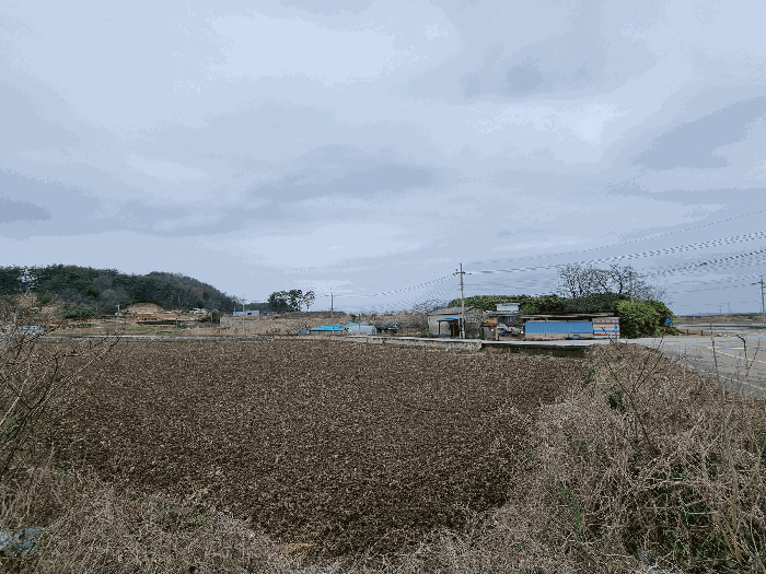 전라남도 무안군 일로읍 복룡리 14-2 외 21필지 임야 경매 사진 36