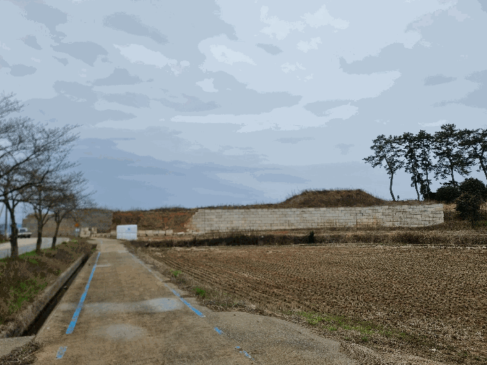 전라남도 무안군 일로읍 복룡리 14-2 외 21필지 임야 경매 사진 37