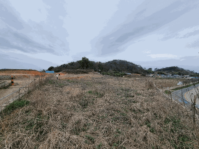 전라남도 무안군 일로읍 복룡리 14-2 외 21필지 임야 경매 사진 38