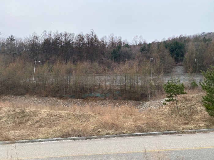 강원특별자치도 태백시 화전동 359 대지 경매 사진 19
