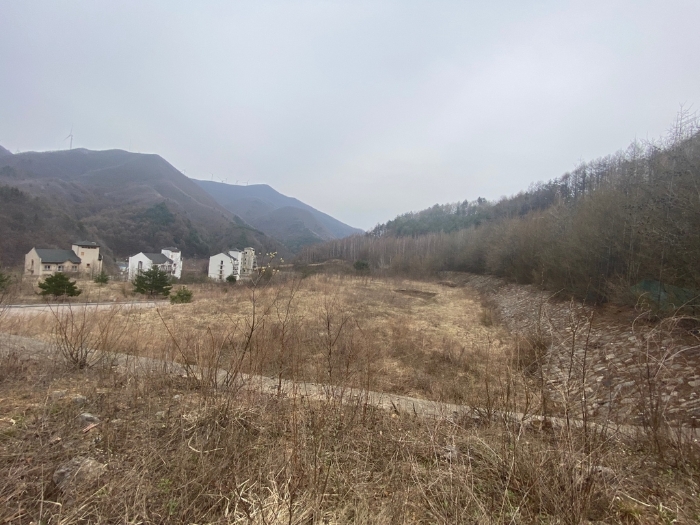 강원특별자치도 태백시 화전동 359 대지 경매 사진 20