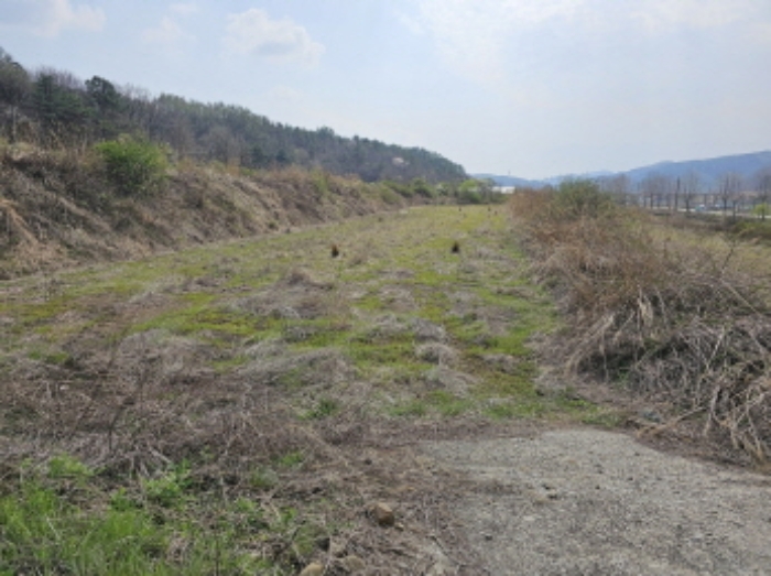 충청북도 청주시 상당구 미원면 쌍이리 213-2 외 18필지 답 경매 사진 12