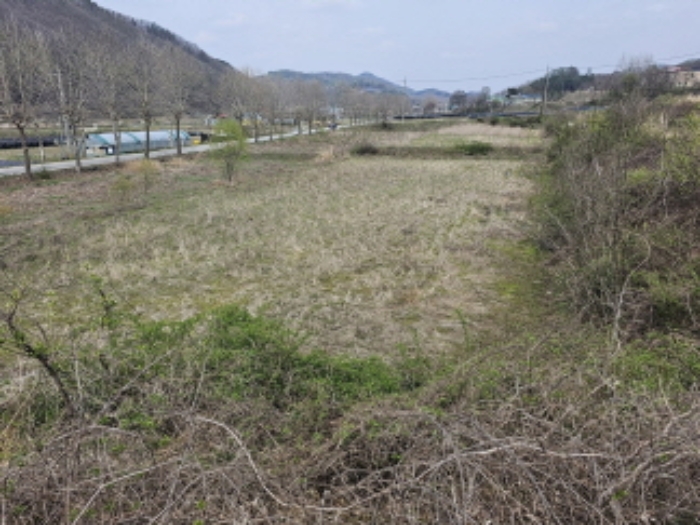 충청북도 청주시 상당구 미원면 쌍이리 213-2 외 18필지 답 경매 사진 15