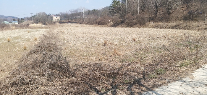 충청북도 청주시 상당구 미원면 쌍이리 213-2 외 18필지 답 경매 사진 33