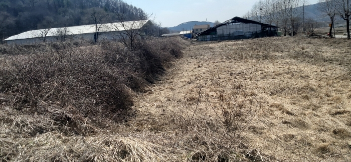 충청북도 청주시 상당구 미원면 쌍이리 213-2 외 18필지 답 경매 사진 37