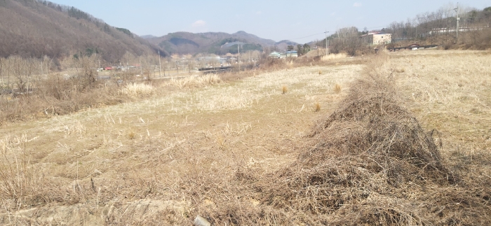 충청북도 청주시 상당구 미원면 쌍이리 213-2 외 18필지 답 경매 사진 42