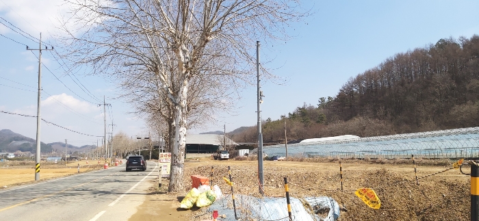 충청북도 청주시 상당구 미원면 쌍이리 213-2 외 18필지 답 경매 사진 45
