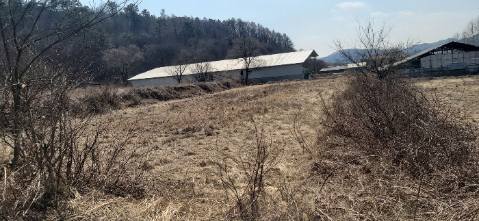 충청북도 청주시 상당구 미원면 쌍이리 213-2 외 18필지 답 경매 사진 47