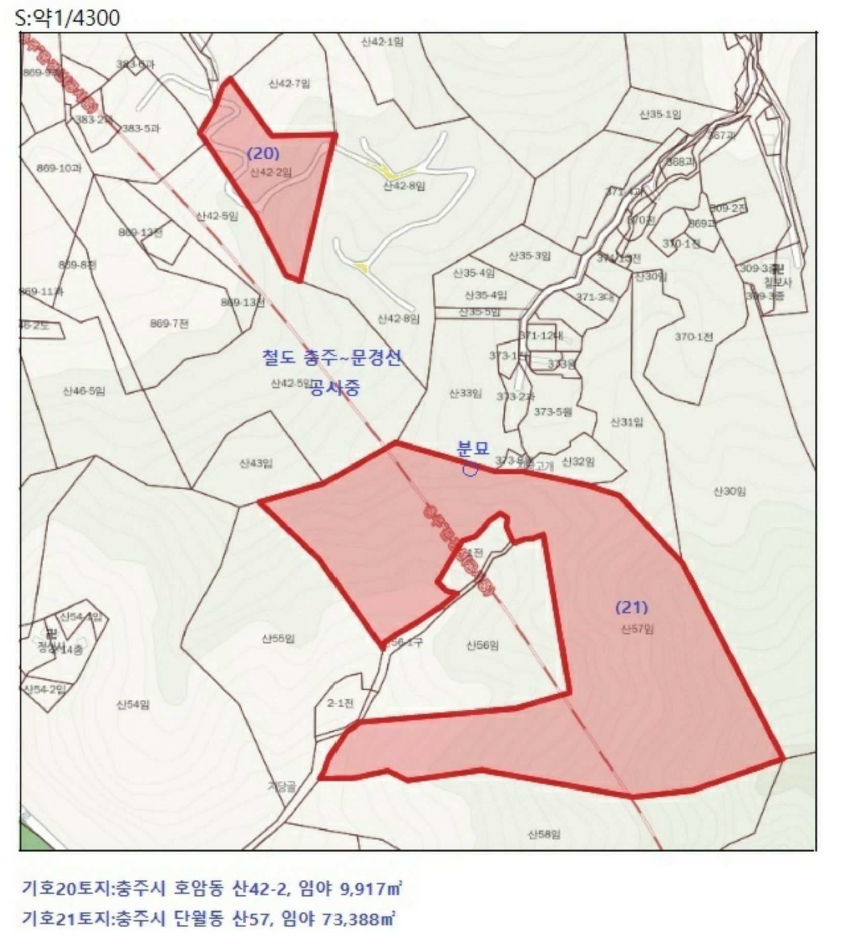 충청북도 충주시 호암동 산42-2 임야 경매 사진 10