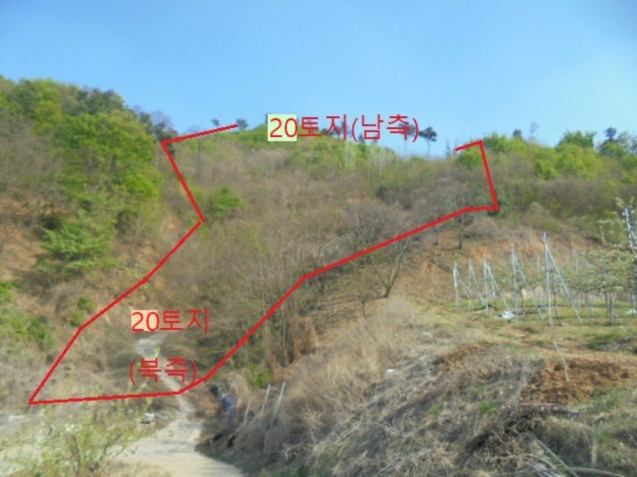 충청북도 충주시 호암동 산42-2 임야 경매 사진 6