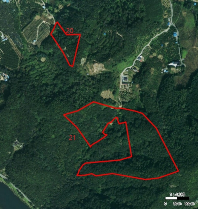충청북도 충주시 호암동 산42-2 임야 경매 사진 8