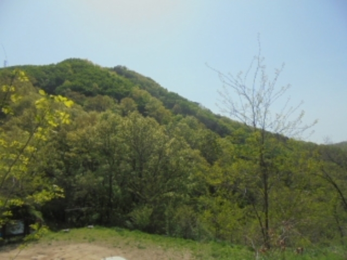 충청북도 충주시 단월동 산57 임야 경매 사진 1
